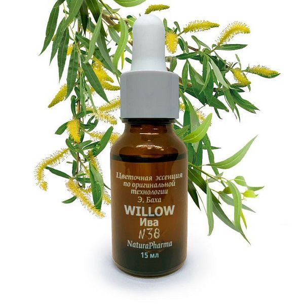 органикМИРЪ - Цветочная эссенция Баха №38 Willow Ива Цветок судьбы, 15 мл